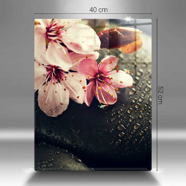 Proteção para placa de indução Flores pedras zen