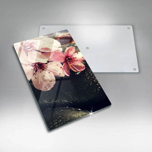 Proteção para placa de indução Flores pedras zen