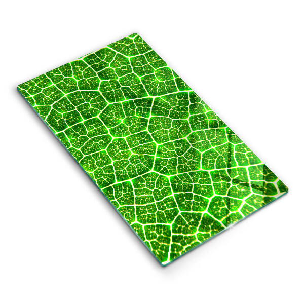 Proteção para placa de indução Estrutura da folha