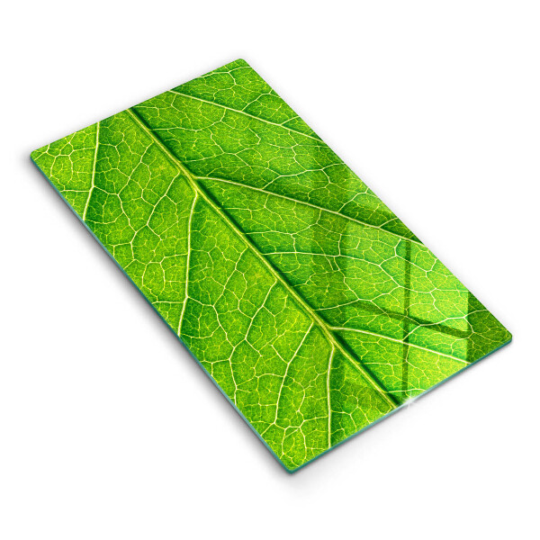 Protetor de bancada Natureza das nervuras das folhas