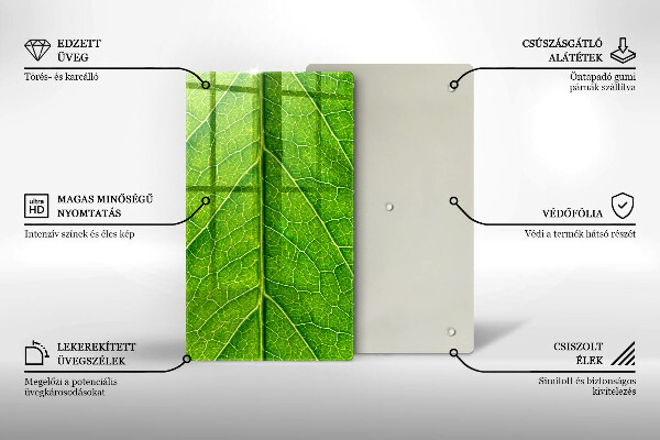 Protetor de bancada Natureza das nervuras das folhas