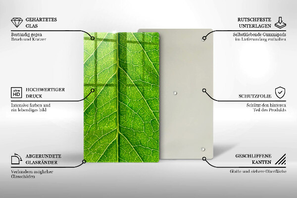 Protetor de bancada Natureza das nervuras das folhas