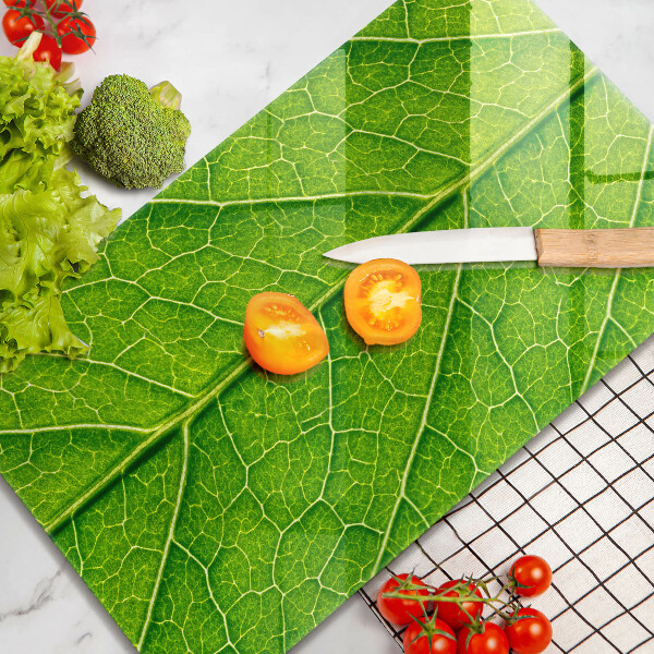 Protetor de bancada Natureza das nervuras das folhas