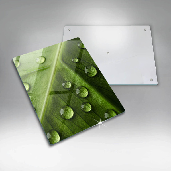 Protetor de placa de indução Orvalho e folha da natureza