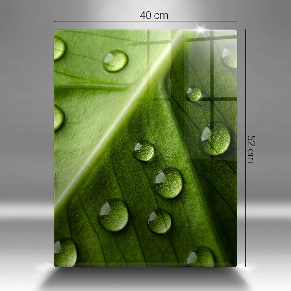 Protetor de placa de indução Orvalho e folha da natureza