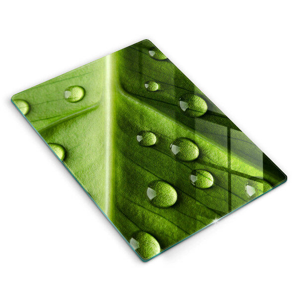 Protetor de placa de indução Orvalho e folha da natureza