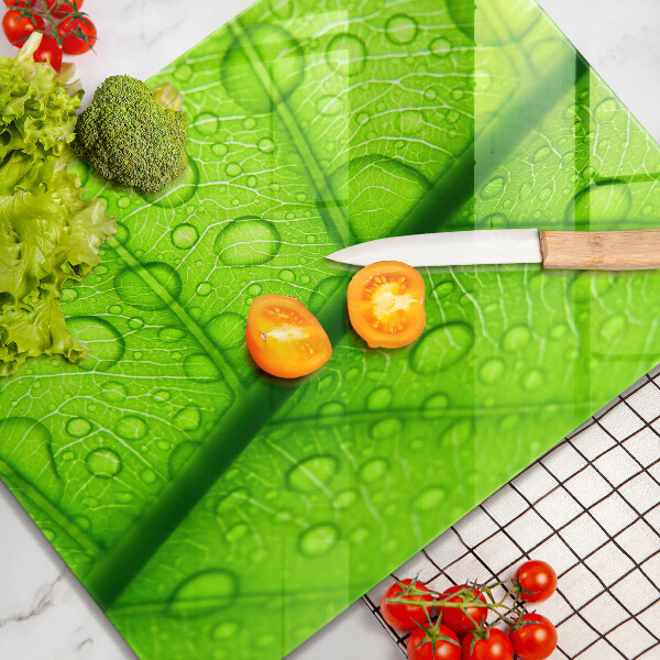 Proteção para placa de indução Close-up de uma folha