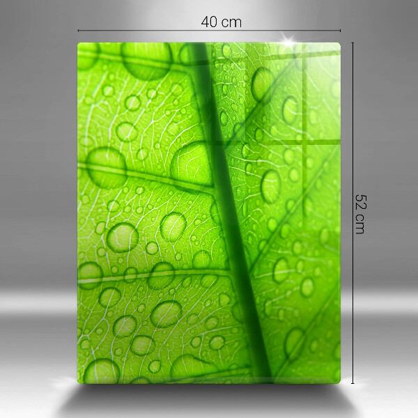 Proteção para placa de indução Close-up de uma folha