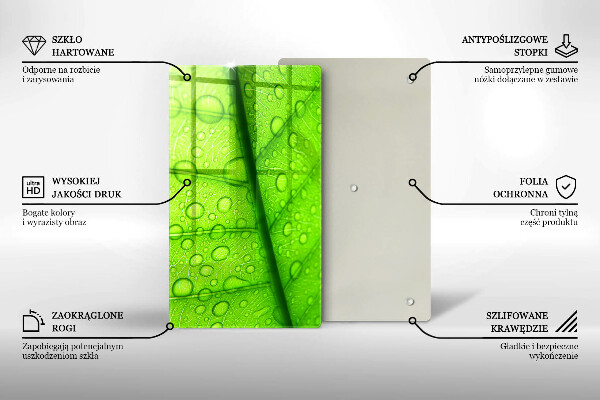 Proteção para placa de indução Close-up de uma folha