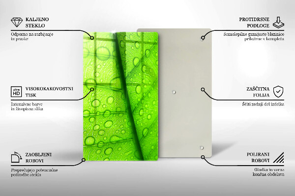Proteção para placa de indução Close-up de uma folha