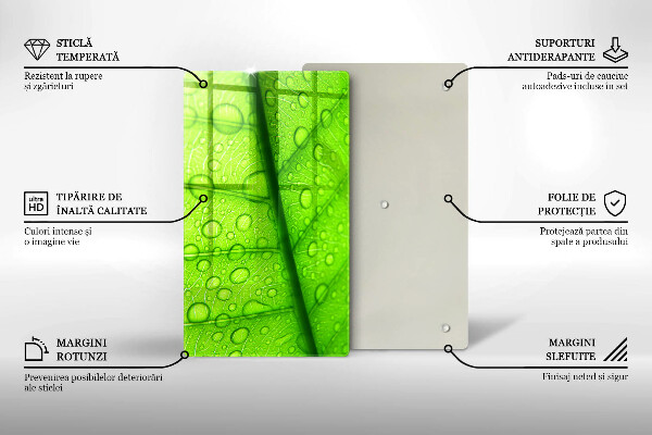 Proteção para placa de indução Close-up de uma folha