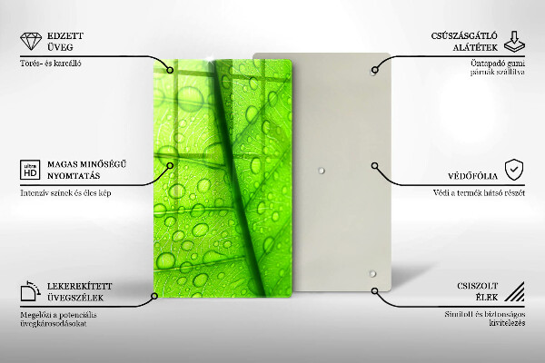 Proteção para placa de indução Close-up de uma folha