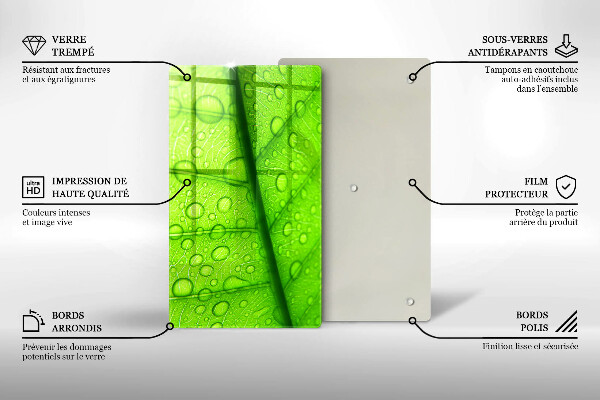 Proteção para placa de indução Close-up de uma folha