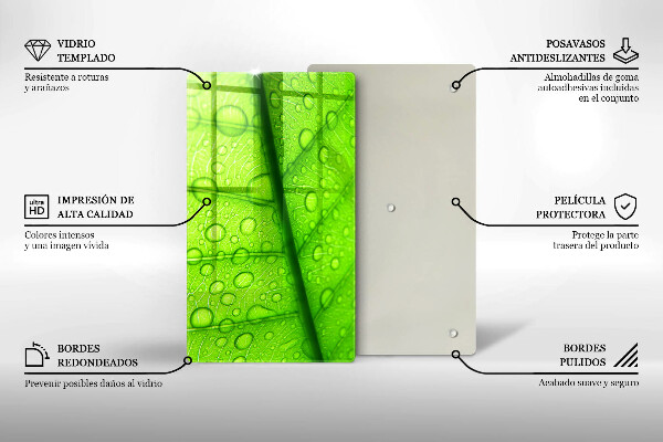 Proteção para placa de indução Close-up de uma folha