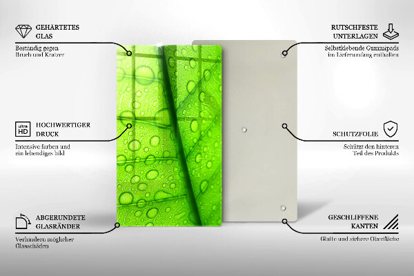 Proteção para placa de indução Close-up de uma folha