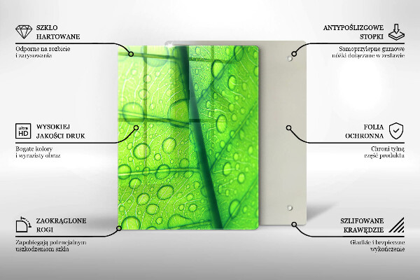 Proteção para placa de indução Close-up de uma folha