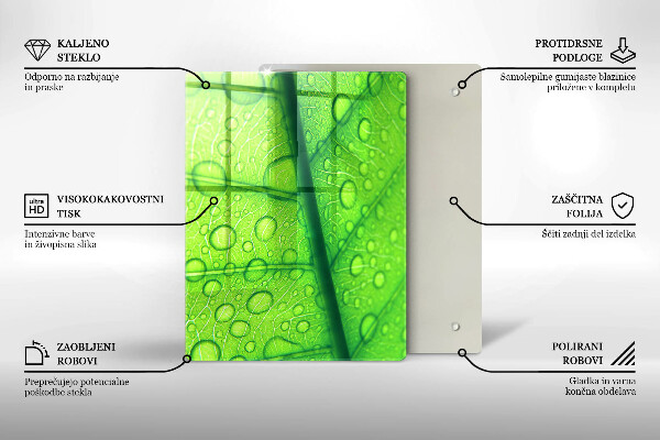 Proteção para placa de indução Close-up de uma folha