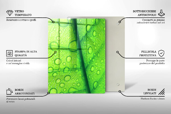 Proteção para placa de indução Close-up de uma folha