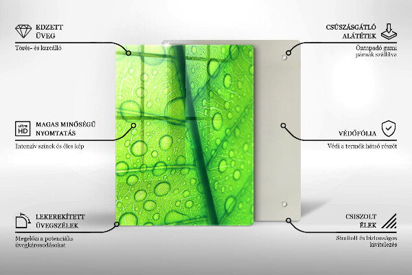 Proteção para placa de indução Close-up de uma folha