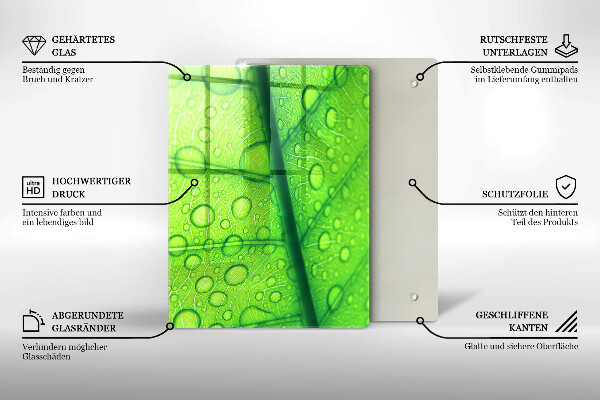 Proteção para placa de indução Close-up de uma folha