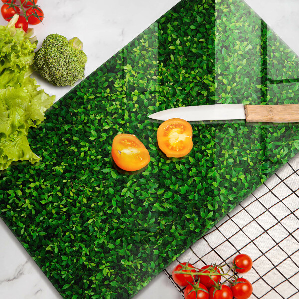 Protetor de placa de indução Planta com folhas pequenas