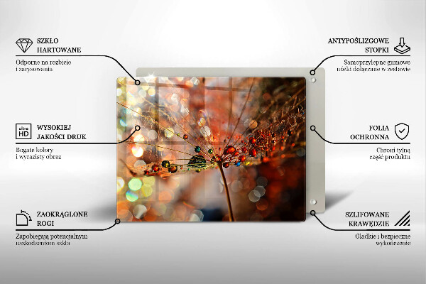 Vidro para placas de indução Dente-de-leão molhado