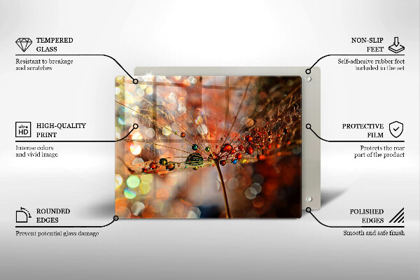 Vidro para placas de indução Dente-de-leão molhado