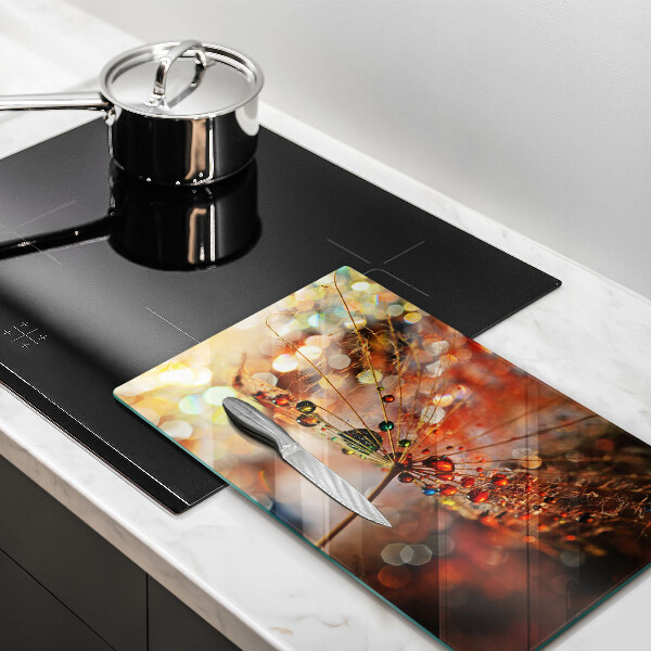 Vidro para placas de indução Dente-de-leão molhado