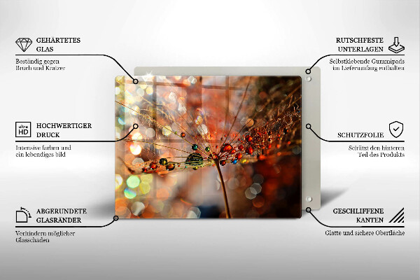 Vidro para placas de indução Dente-de-leão molhado