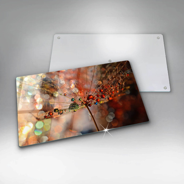 Vidro para placas de indução Dente-de-leão molhado