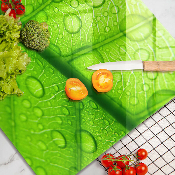 Protetor placa de indução Close-up de uma folha