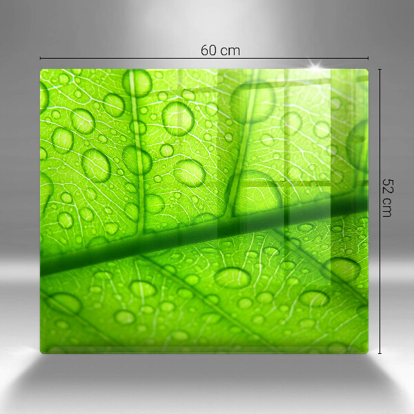 Protetor placa de indução Close-up de uma folha