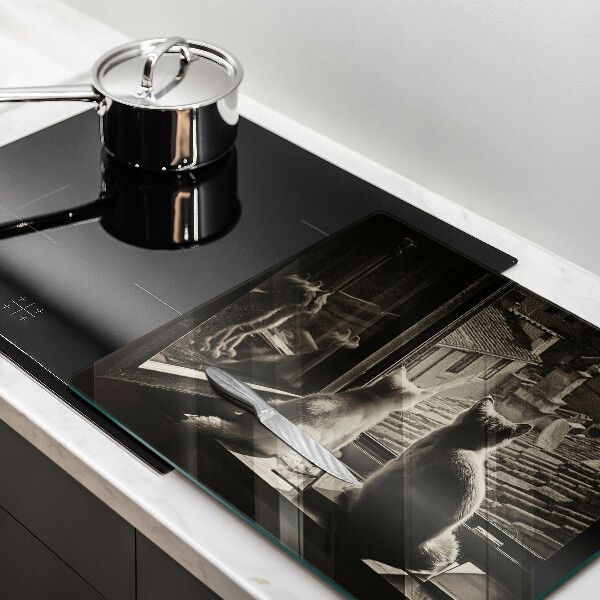 Tábua protetora Cidade dos gatos e janela