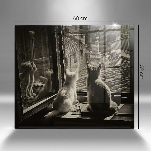 Tábua protetora Cidade dos gatos e janela