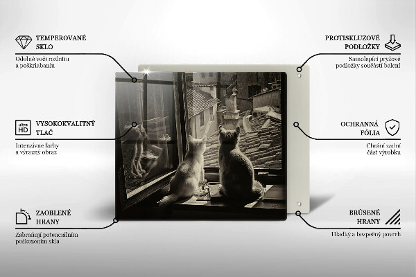 Tábua protetora Cidade dos gatos e janela