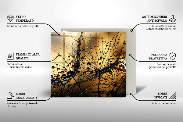 Protetor placa de indução Orvalho e dentes-de-leão