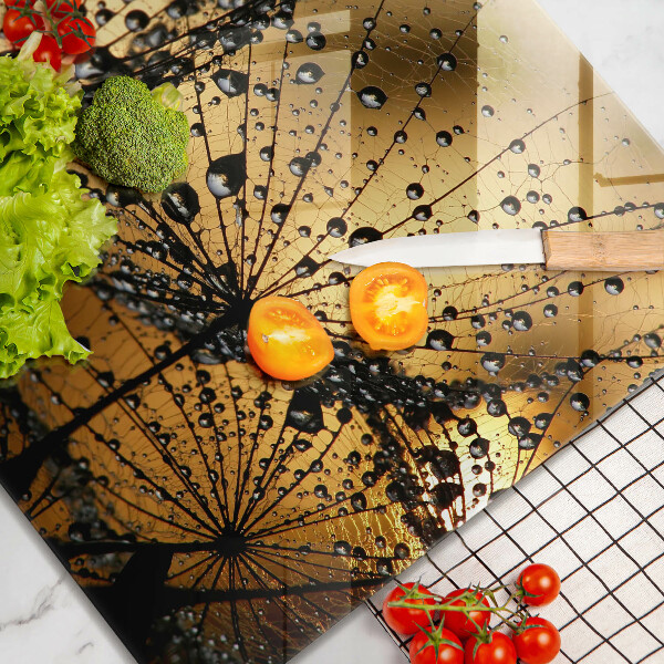 Protetor placa de indução Orvalho e dentes-de-leão