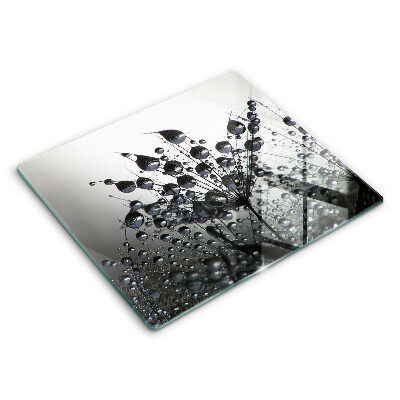 Protetor placa indução Dente-de-leão e orvalho