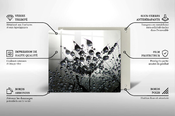 Protetor placa indução Dente-de-leão e orvalho
