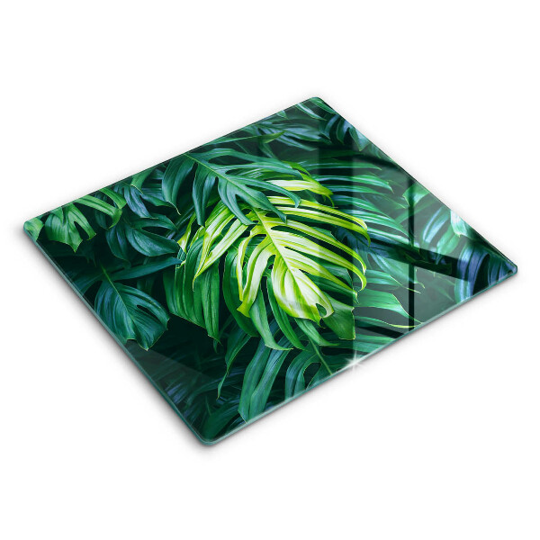 Cobertura de parede do fogão a gás Frunze De Monstera Sălbatică