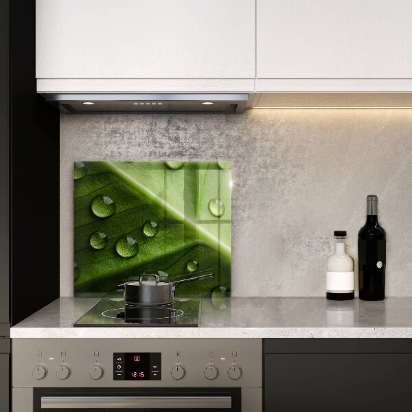 Protetor placa indução Orvalho e folha da natureza