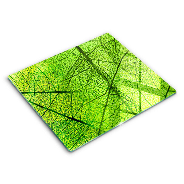 Protetor placa indução Natureza das nervuras das folhas