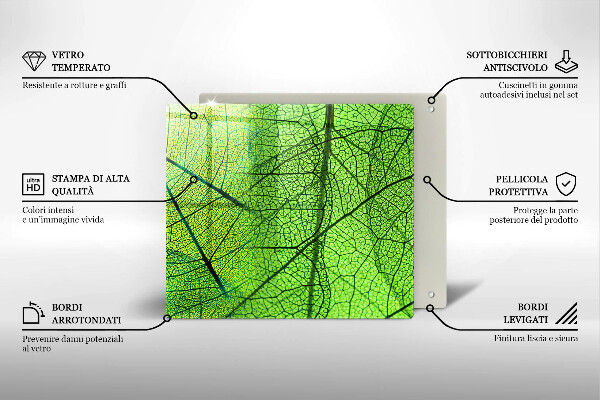 Protetor placa indução Natureza das nervuras das folhas