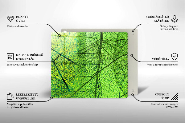 Protetor placa indução Natureza das nervuras das folhas