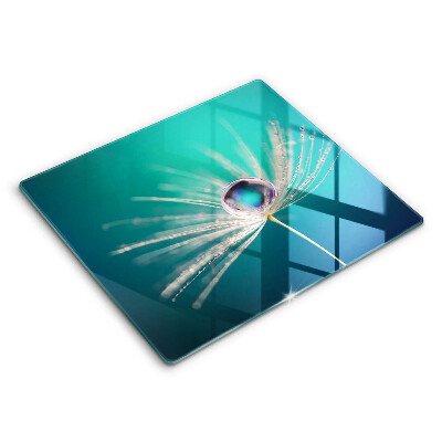 Protetor placa indução Orvalho em um dente-de-leão