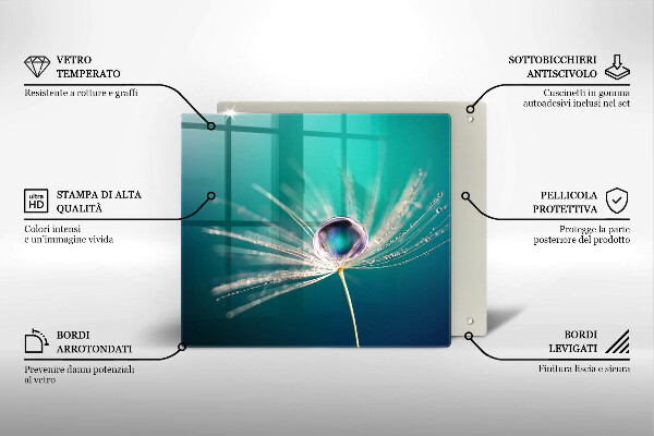 Protetor placa indução Orvalho em um dente-de-leão