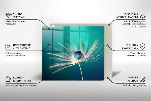 Protetor placa indução Orvalho em um dente-de-leão