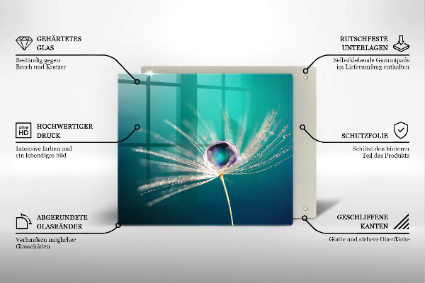 Protetor placa indução Orvalho em um dente-de-leão