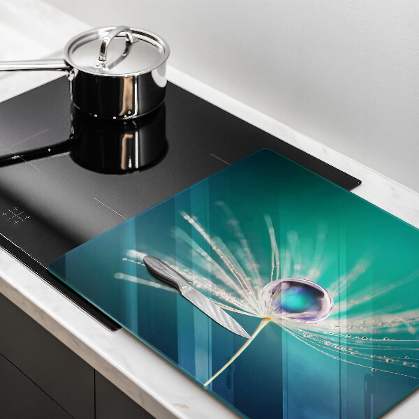 Protetor placa indução Orvalho em um dente-de-leão