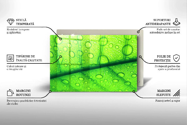 Protetor de fogão de vidro Close-up de uma folha